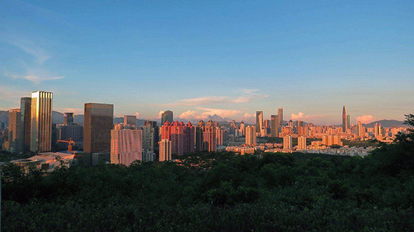 精準(zhǔn)預(yù)測(cè)，優(yōu)化采購(gòu)計(jì)劃