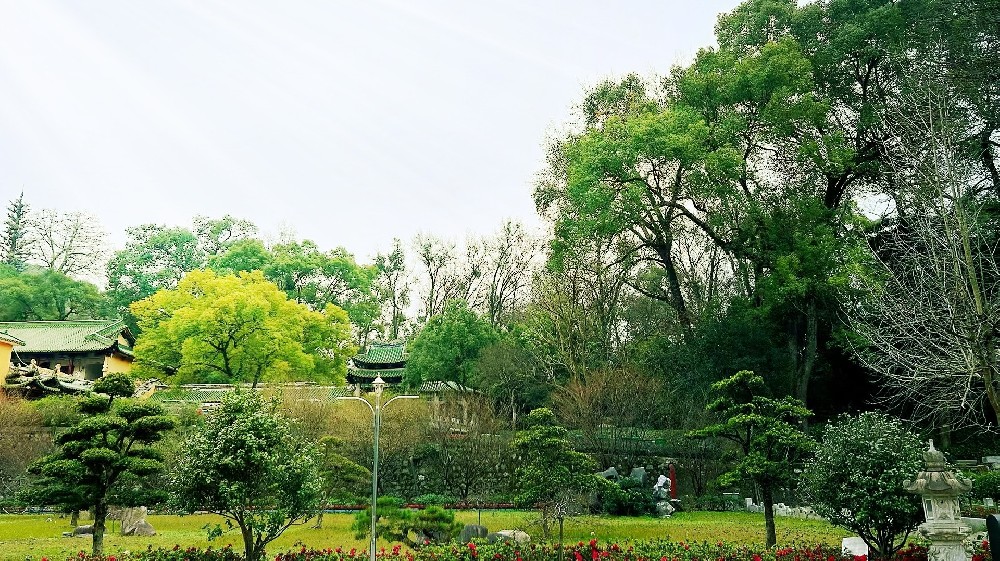 阿米巴經(jīng)營(yíng)——支撐阿米巴經(jīng)營(yíng)的經(jīng)營(yíng)管理部門